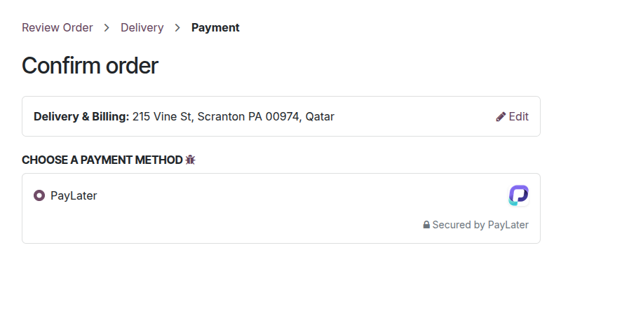 PayLater payment option on the Odoo checkout page