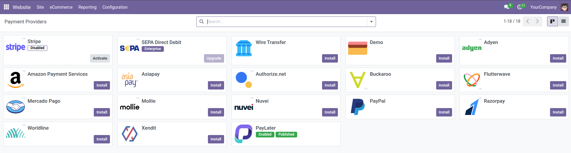 Odoo Website Configuration Payment Provider screen
